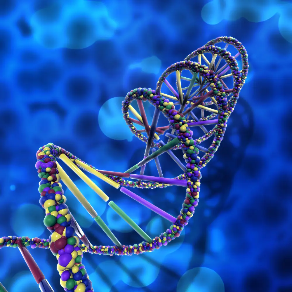 Biomolecules