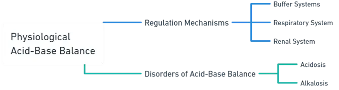 Physiological acid base balance
