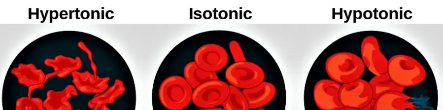 Tonicity