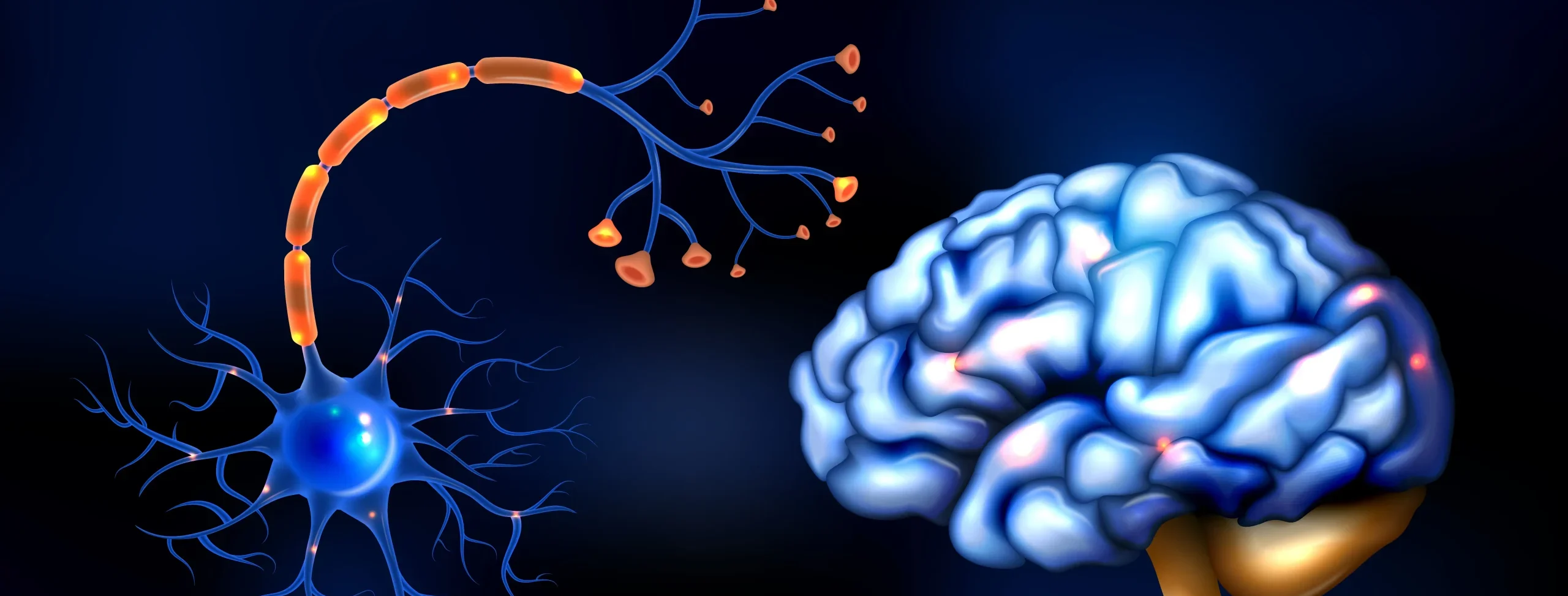 Neuron