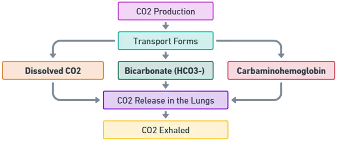 Carbon Dioxide