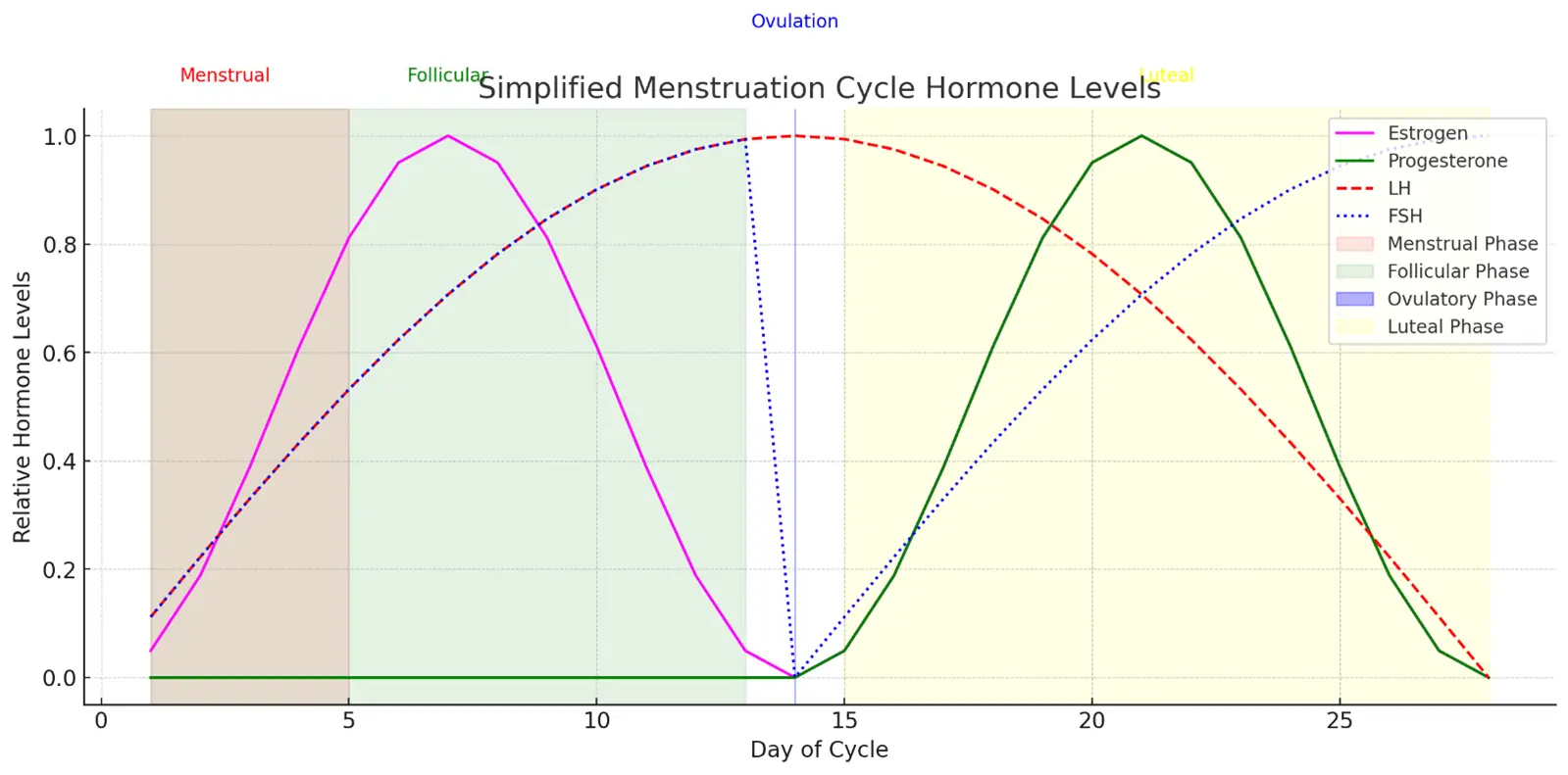 End of the Luteal Phase in Menstruation