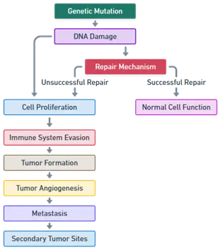 Pathogenesis of Cancer Genetic Mutations