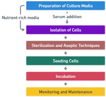 General Procedure for Growth of Animal Cells in Culture