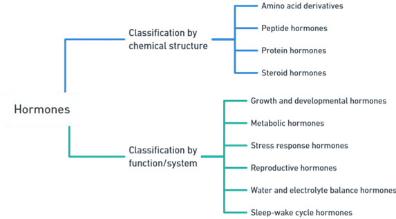 Classification of Hormones Classification of Hormones