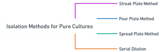 Isolation Methods for Pure Cultures