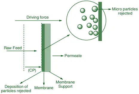 Construction of Membrane Filters Membrane Filters