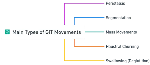 Movements of GIT