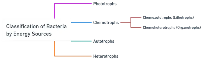 Classification of Nutritional Requirements of Bacteria