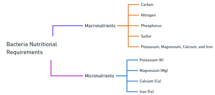Nutritional Requirements of Bacteria