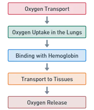 Oxygen release