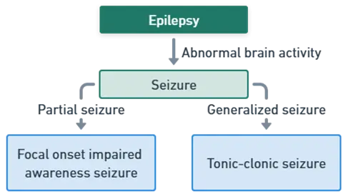 Pathophysiology of Epilepsy