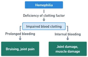 Pathophysiology of Hemophilia