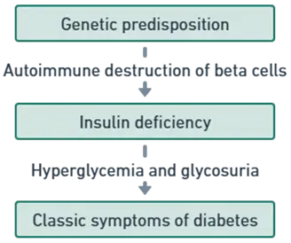 Pathophysiology of Type 1 Diabetes