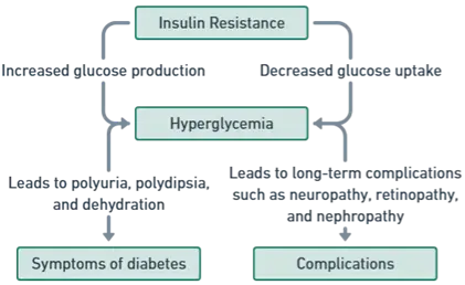 Pathophysiology of Type 2 Diabetes