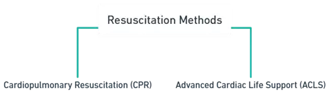 Resuscitation Methods