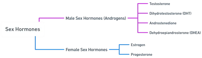 Sex hormone Sex hormone