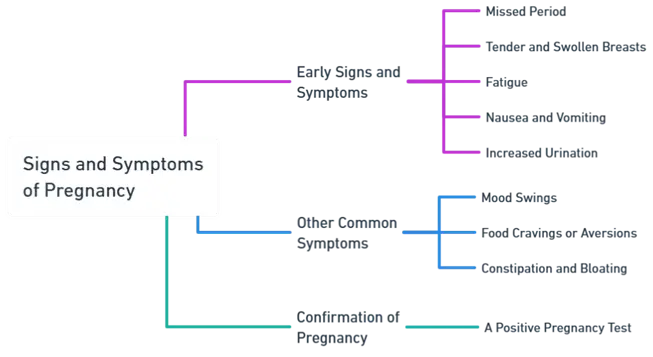 Signs and symptoms of pregnancy