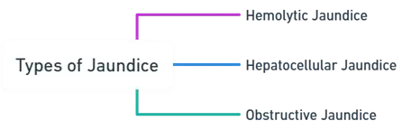 Types of Jaundice Types of Jaundice