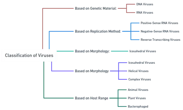 Viruses