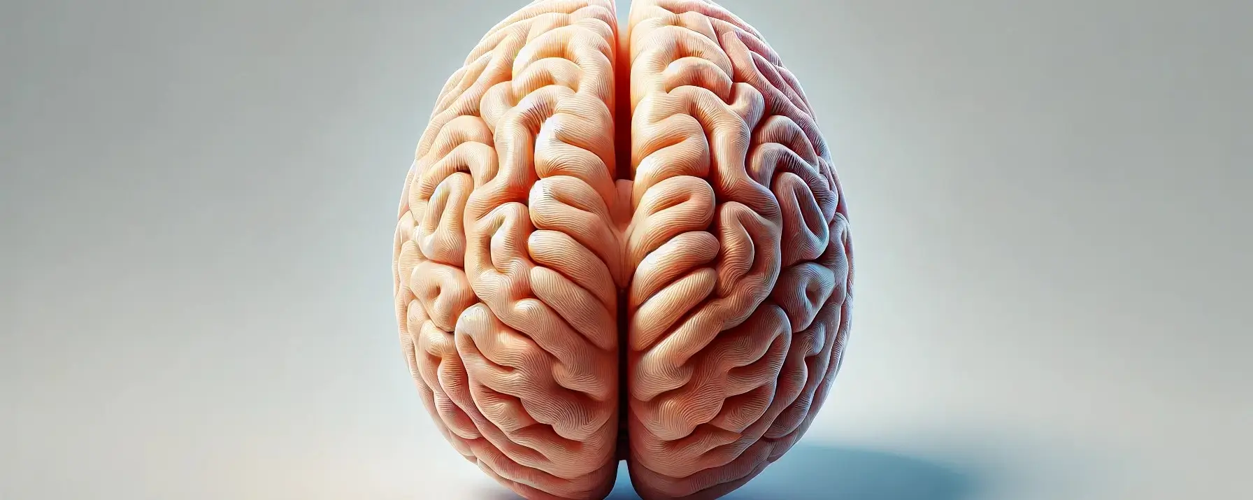 pineal gland (1)