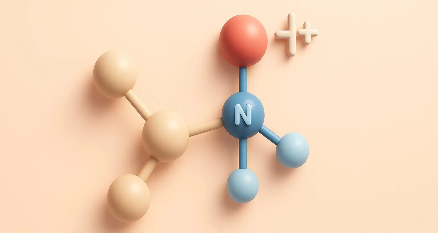 Basicity of Aliphatic Amines