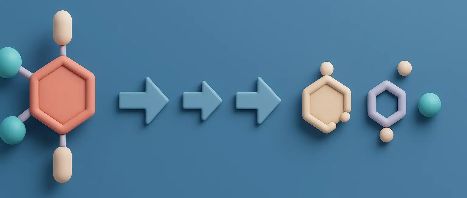 Catabolism of Purine Nucleotides