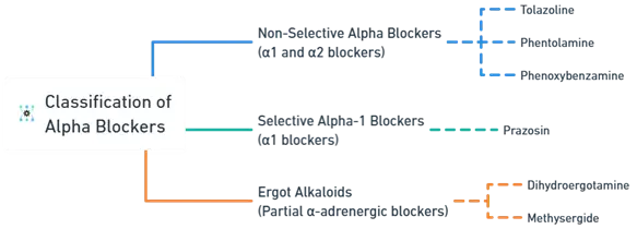 Classification of Alpha Blockers Classification of Beta-Adrenergic Blockers