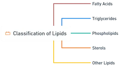 Classification of Lipids