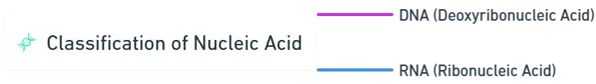 Classification of Nucleic Acids