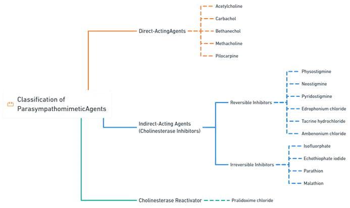 Classification of Parasympathomimetic Agents