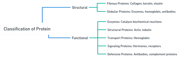 Classification of Proteins