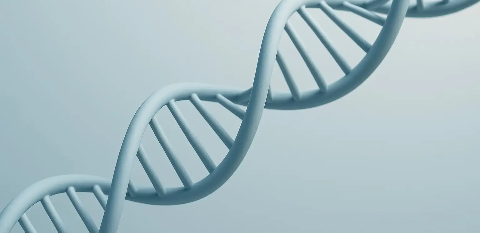 DNA (Deoxyribonucleic Acid)