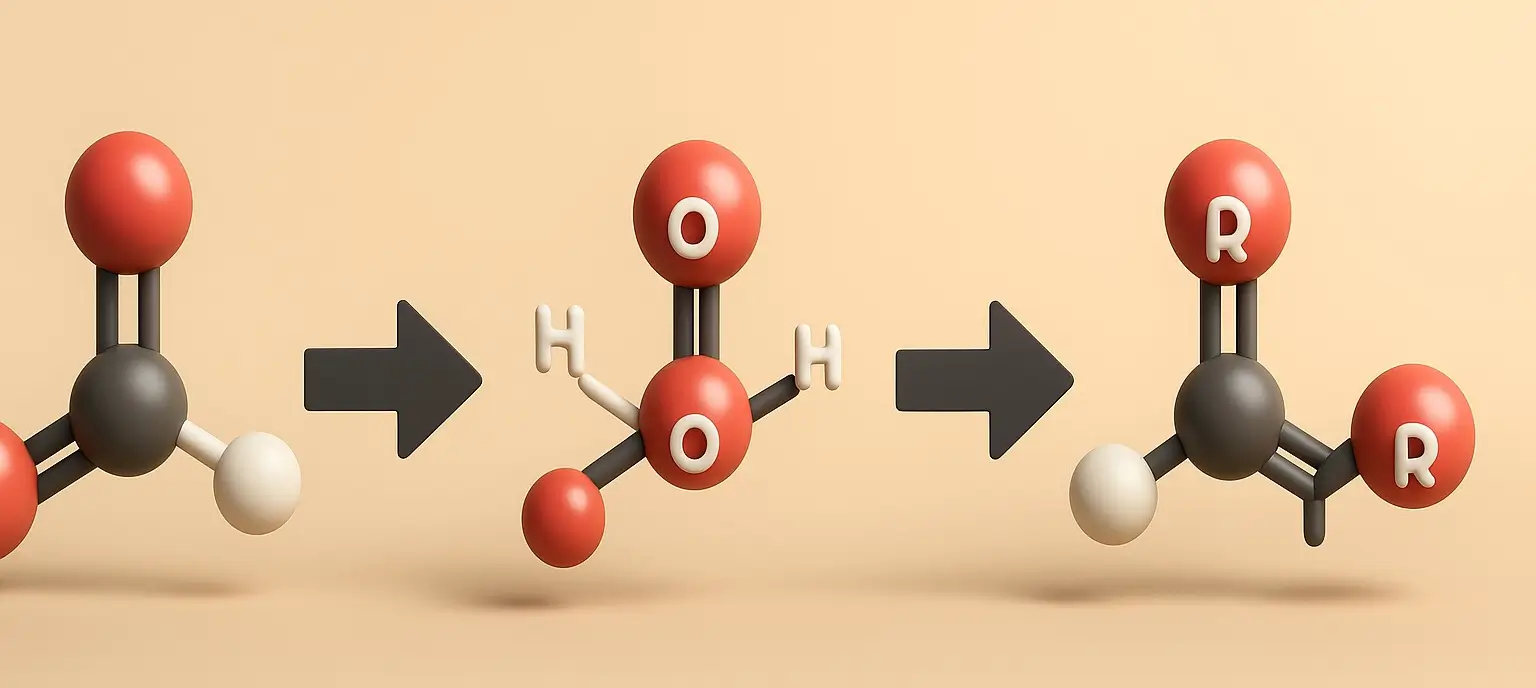 Important chemical reactions of carboxylic acid
