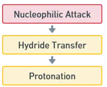 Cannizzaro Reaction