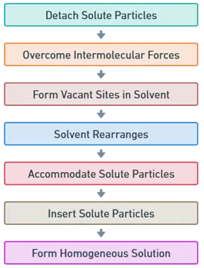 Mechanisms of Solute-Solvent Interactions