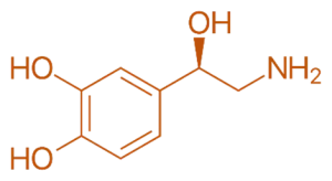 Noradrenaline 