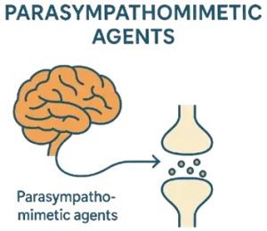 Parasympathomimetic agents