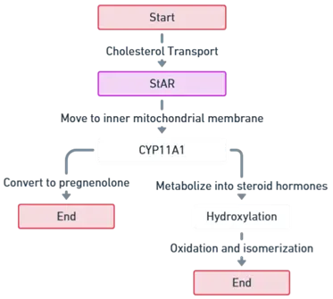 Steps Involved