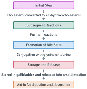 Storage and Release