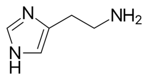 Structure of Histamine
