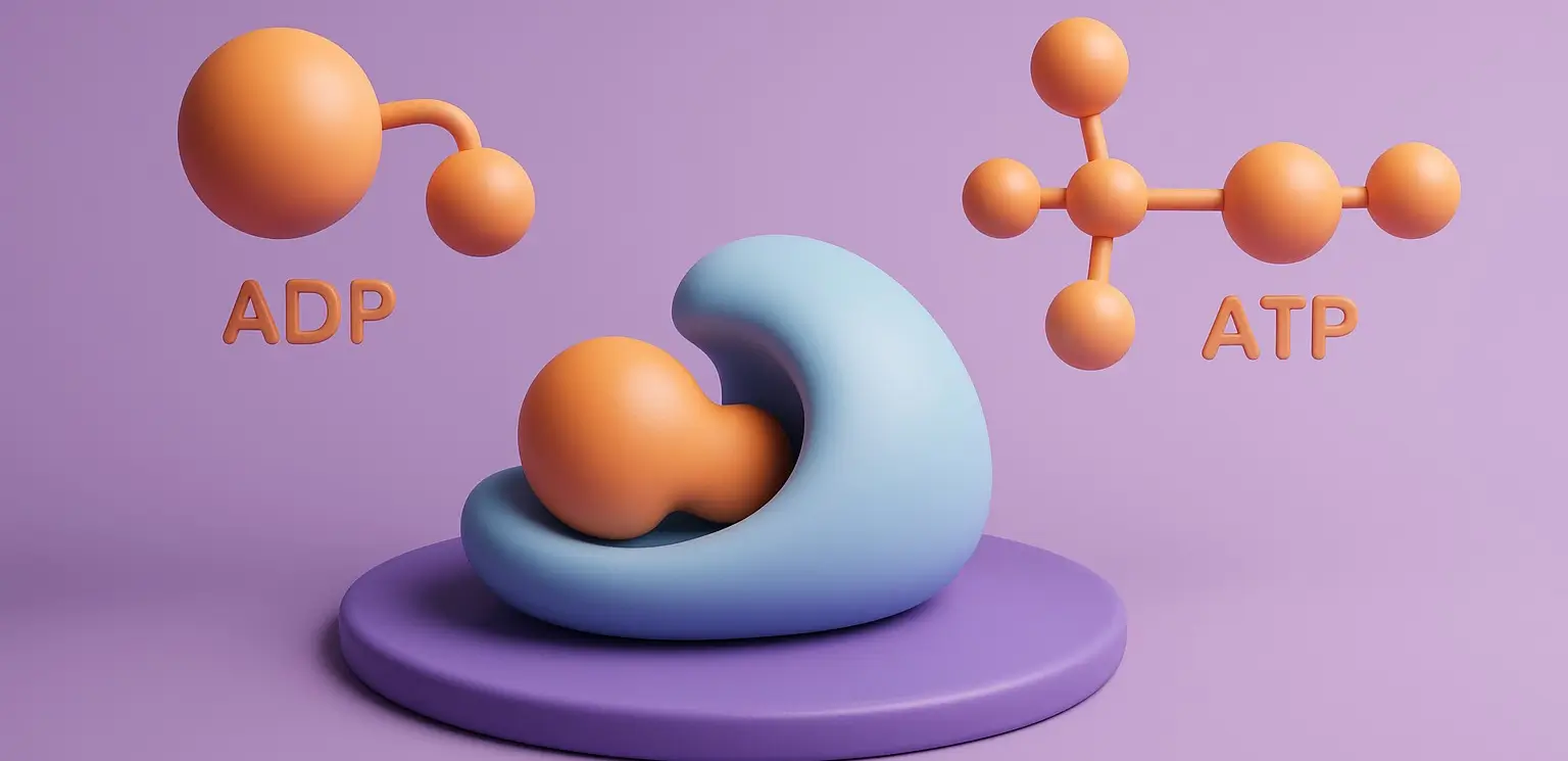 Substrate-level phosphorylation