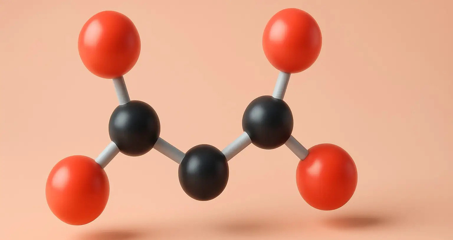 Succinic Acid