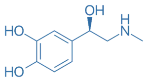 Synthesis