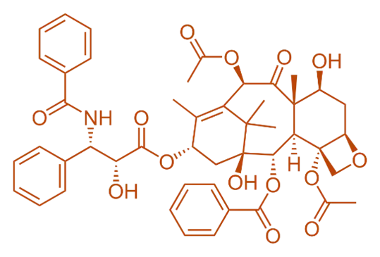Structure of Taxol (Paclitaxel)
