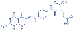 Tetrahydrofolate (THF) Tetrahydrofolate (THF) of Coenzymes