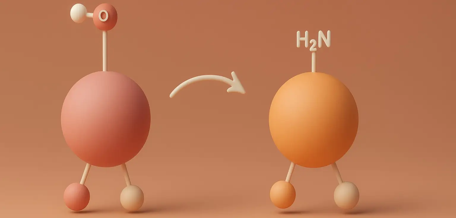 Transamination in Amino Acid Metabolism