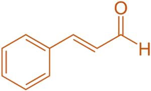 conjugated system