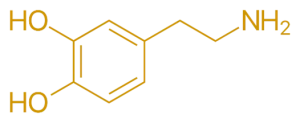 dopamine