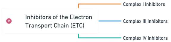 inhibitors of the Electron Transport Chain (ETC)